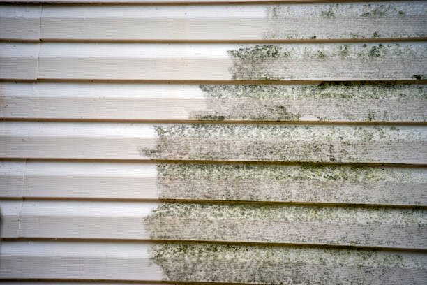 Siding Removal and Disposal in Millen, GA