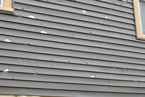 Best Composite Siding  in Millen, GA